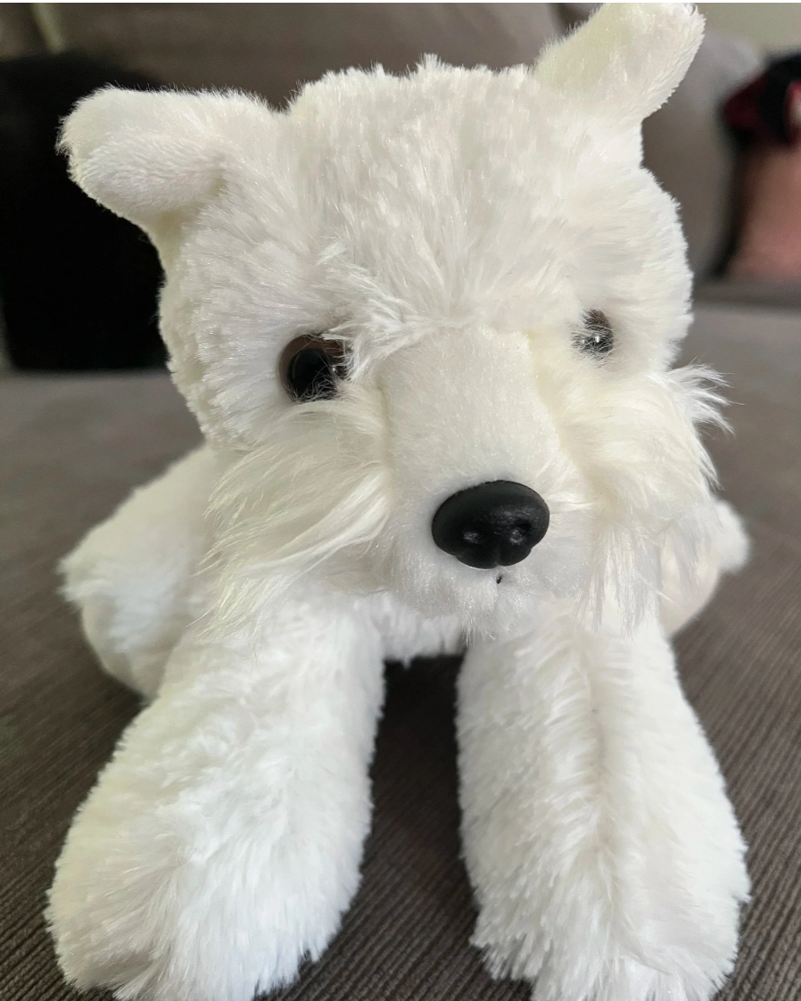 Frankie+Plushie.png