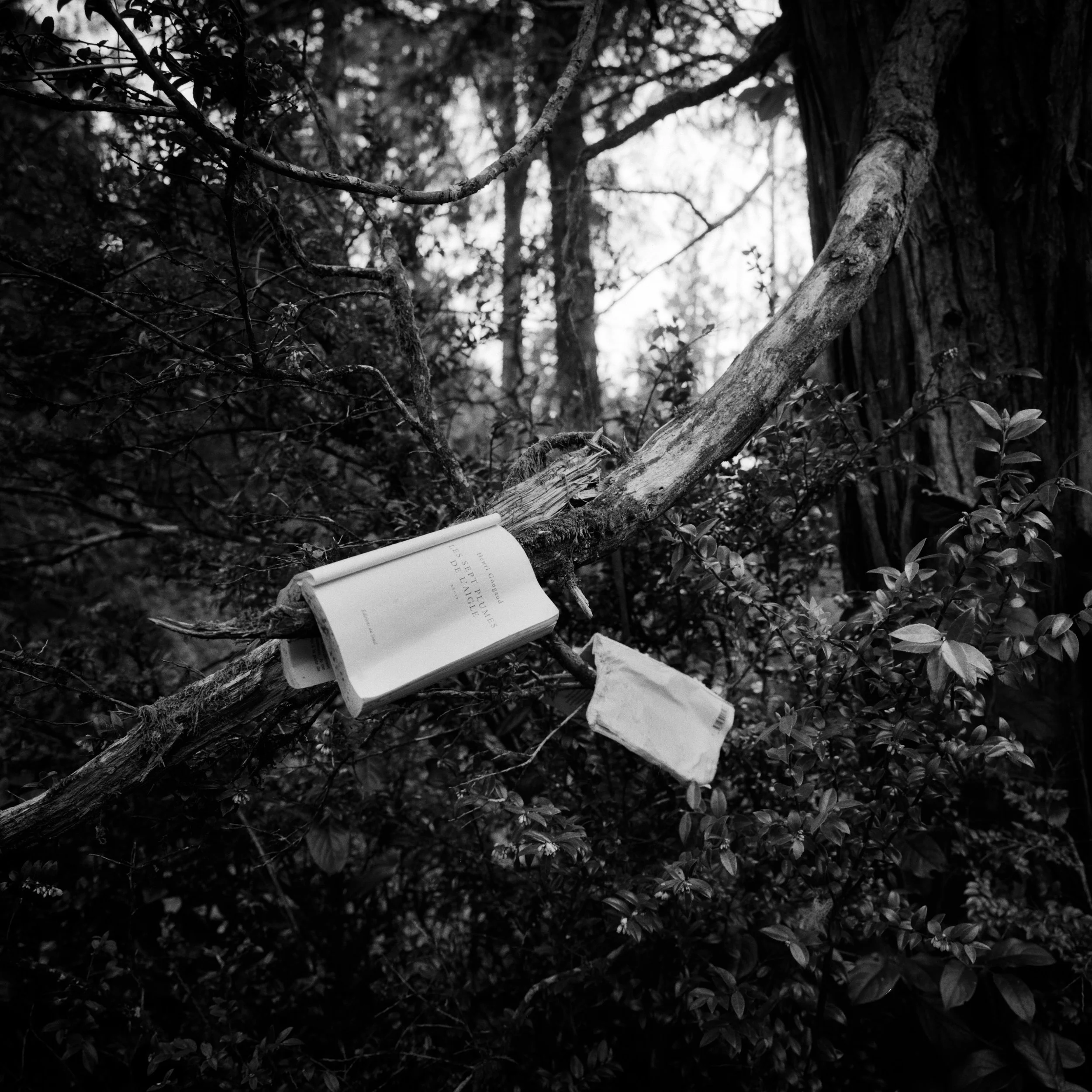 A traveler lays out a book called Les sept plumes de l'aigle by Henri Gougaud to dry under the sun after a damp night on Poole's Land.