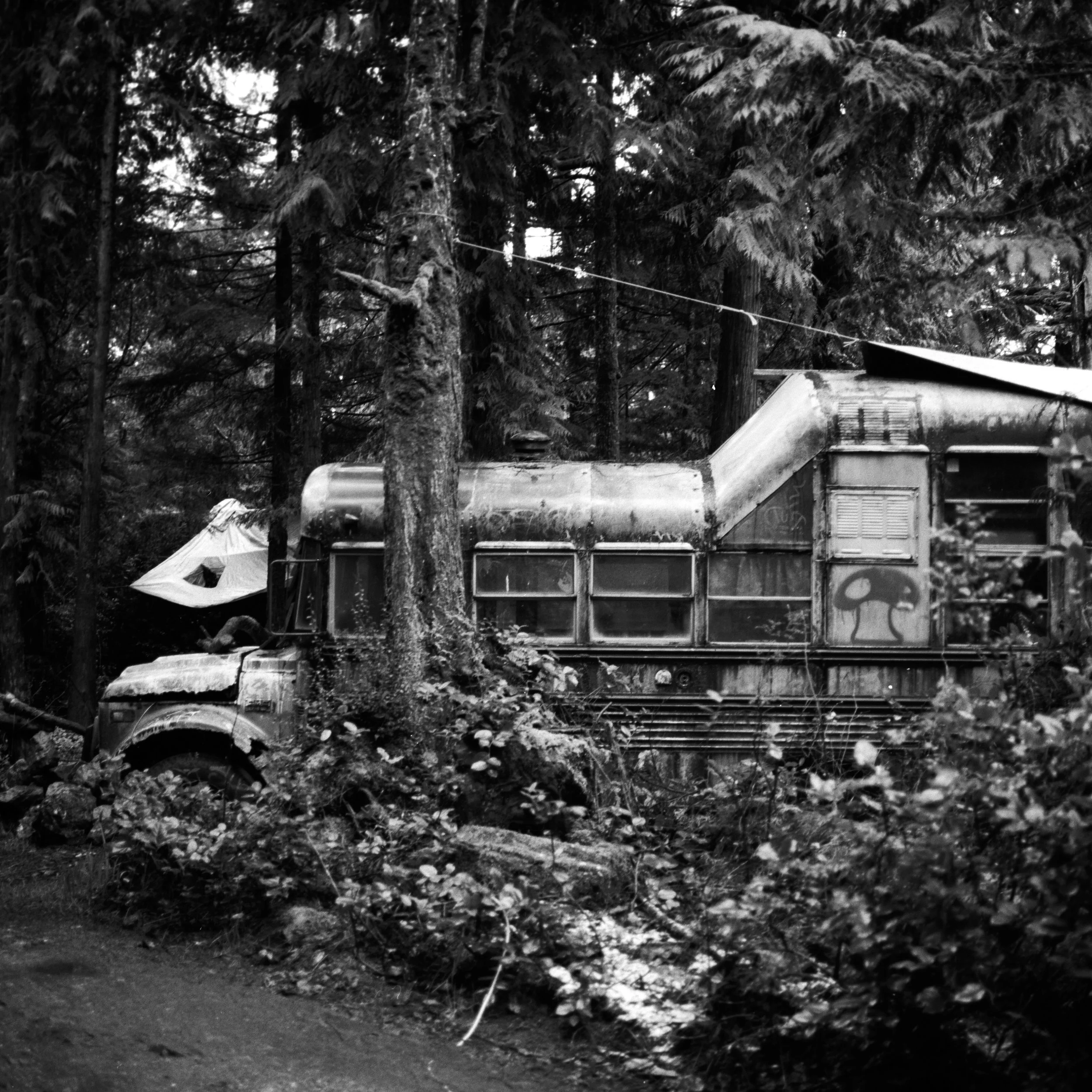 "The Magic Bus," as its been dubbed, serves as a home to those passing through.