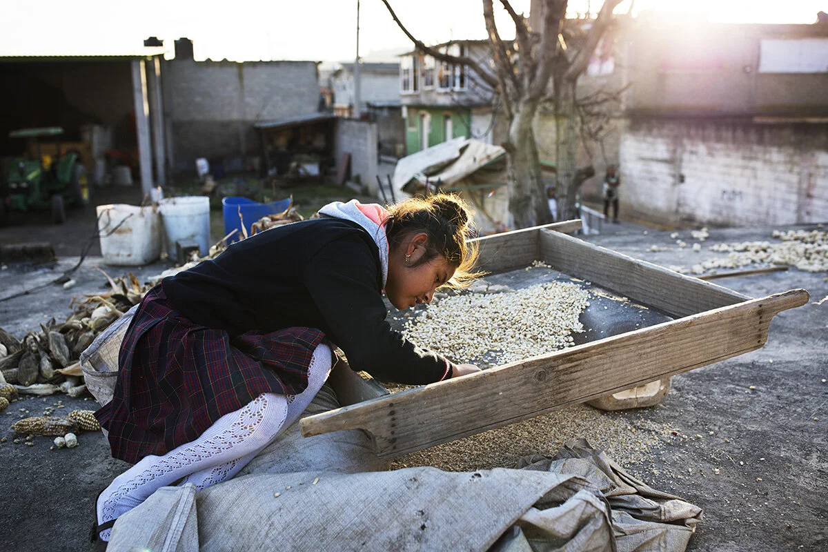 Jodmery Villanueva De Los Santos, 14, helps her parents pick through their corn after school in the small town of Cuijingo. Her family is one of the few in the village that does not participate in SAWP. A report by the US-based Center for Economic and Policy Research found that the North American Free Trade Agreement had a significant impact on small-scale Mexican farmers, many of whom are unable to compete with US subsidized corn production.