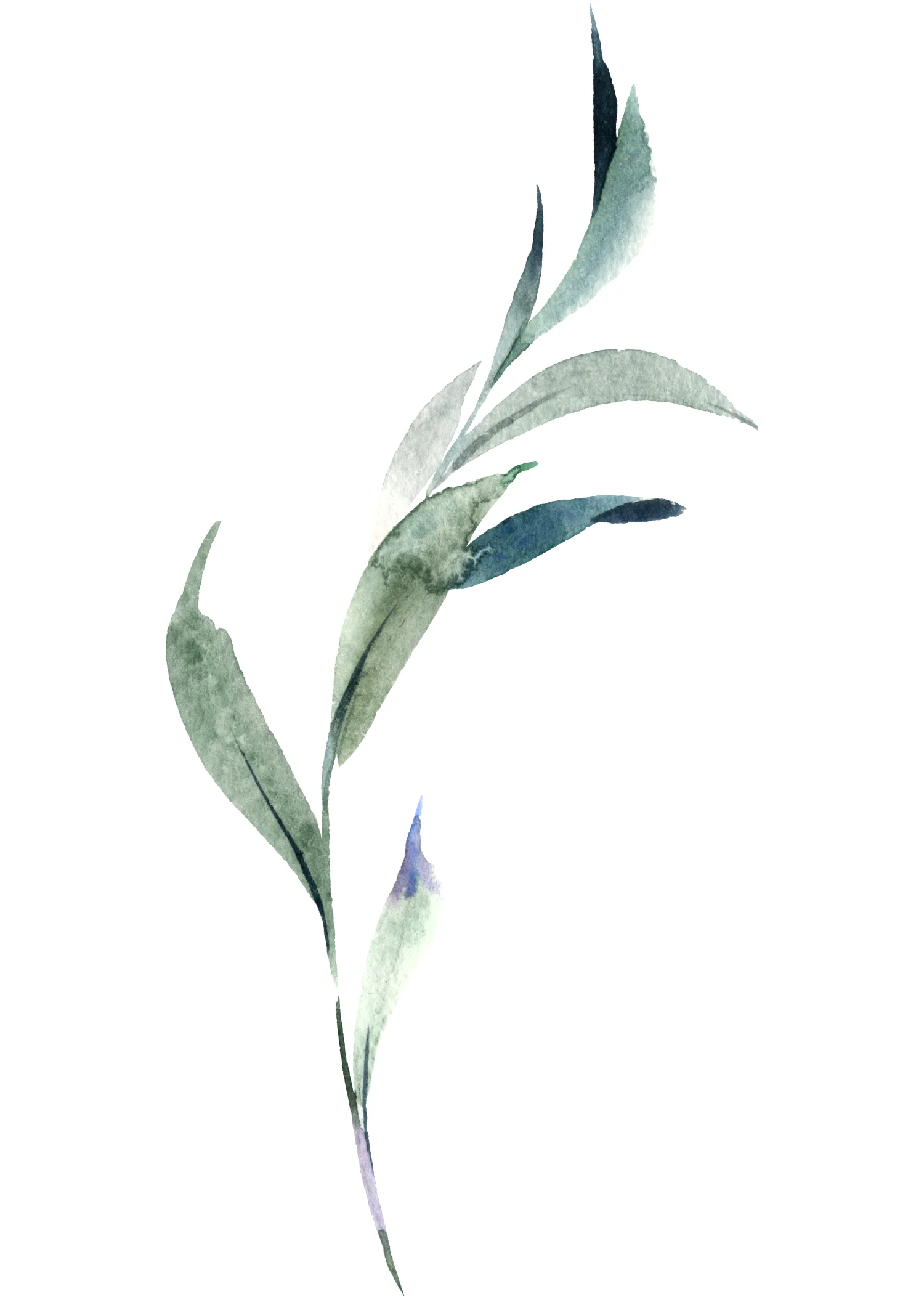 flower11.jpg