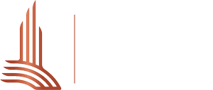MVS Chicago