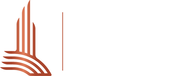 MVS Chicago
