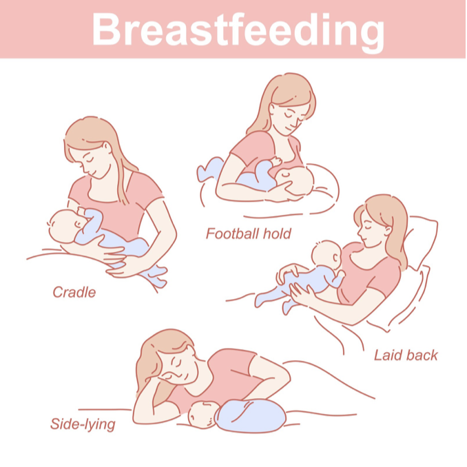 Common breastfeeding positions | UNICEF Kosovo Programme
