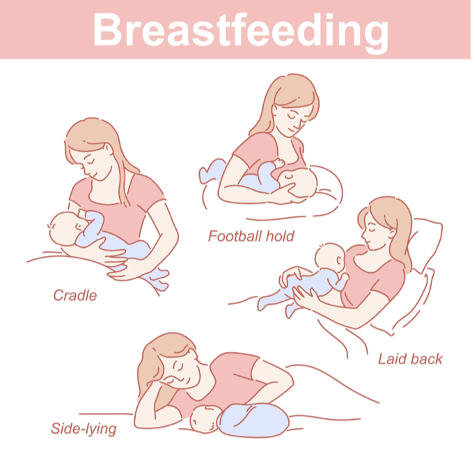 Breastfeeding 101 — Talli