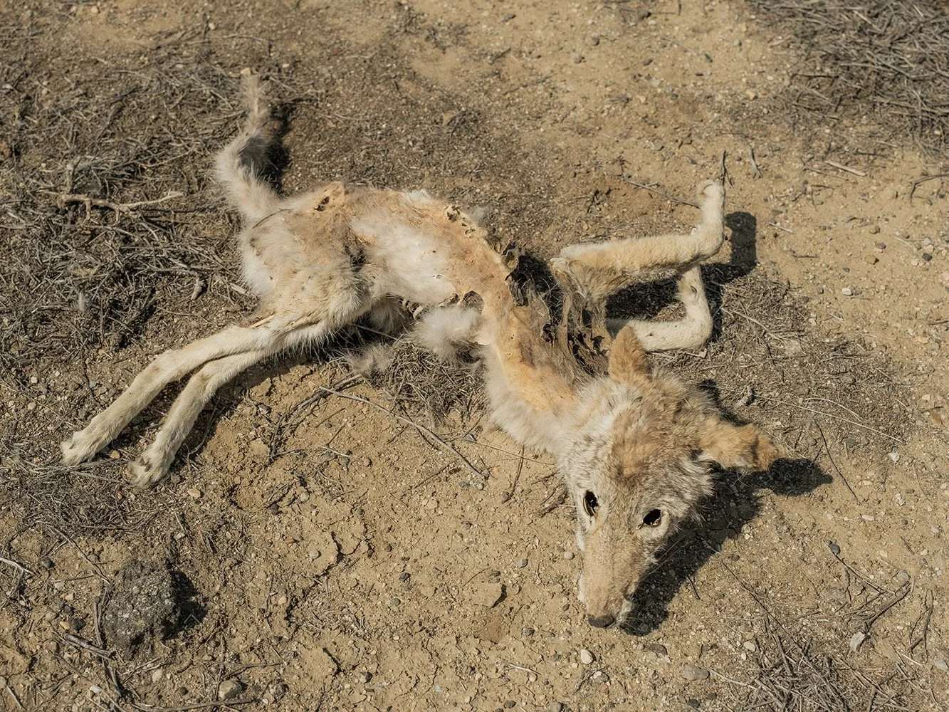 DSCF5749.jpg