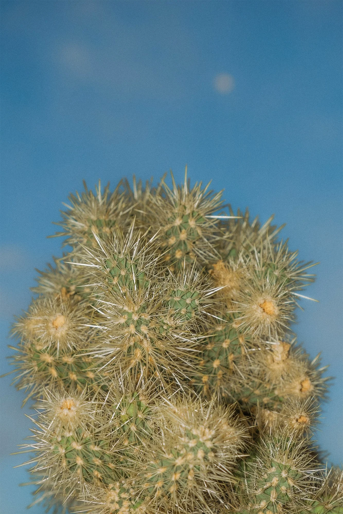 DSCF4904.jpg
