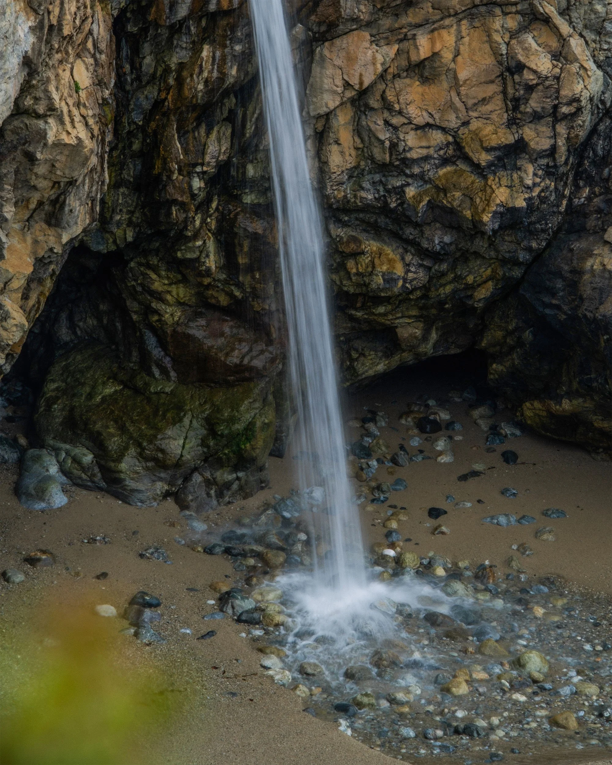 DSCF8242.jpg