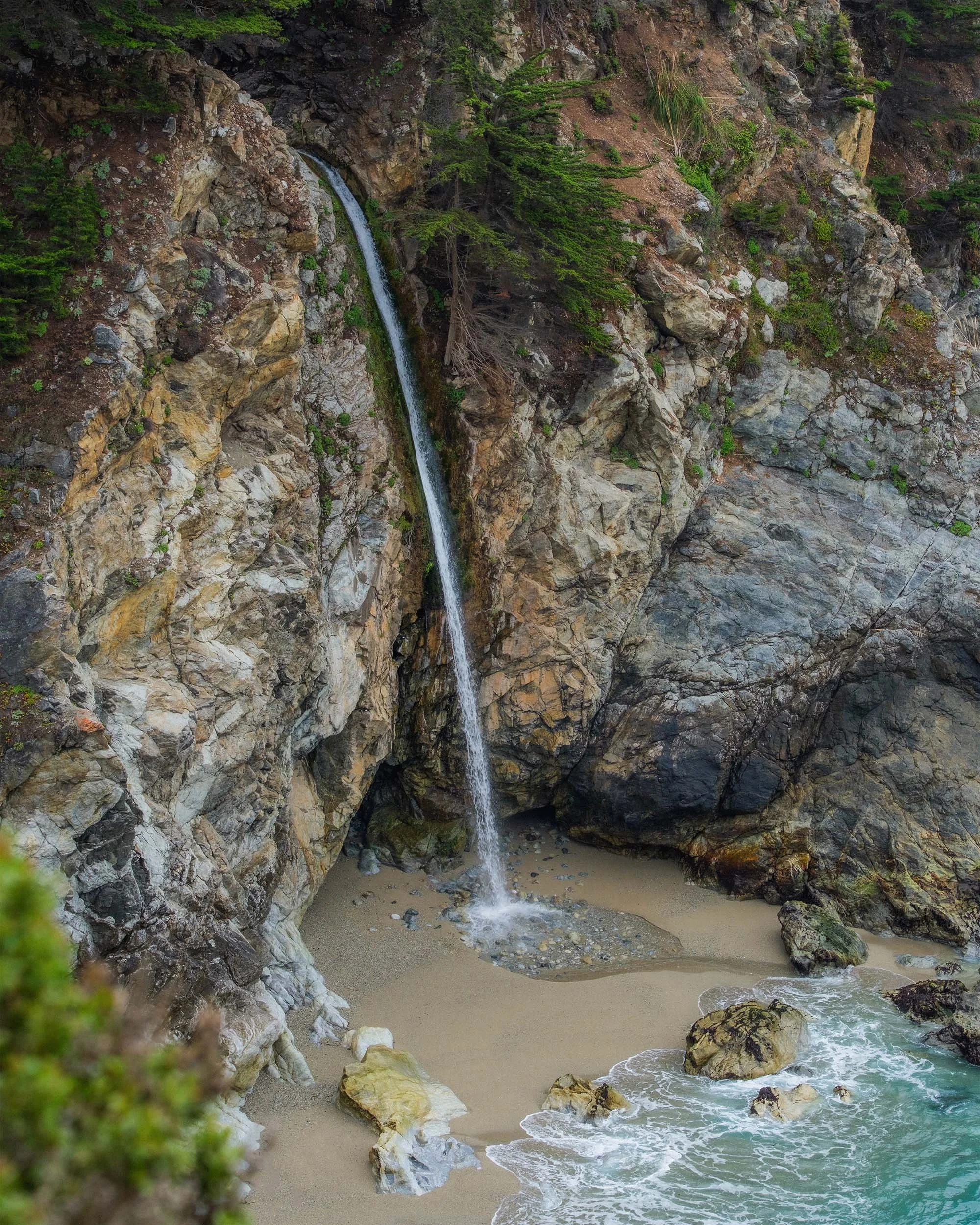 DSCF8208.jpg