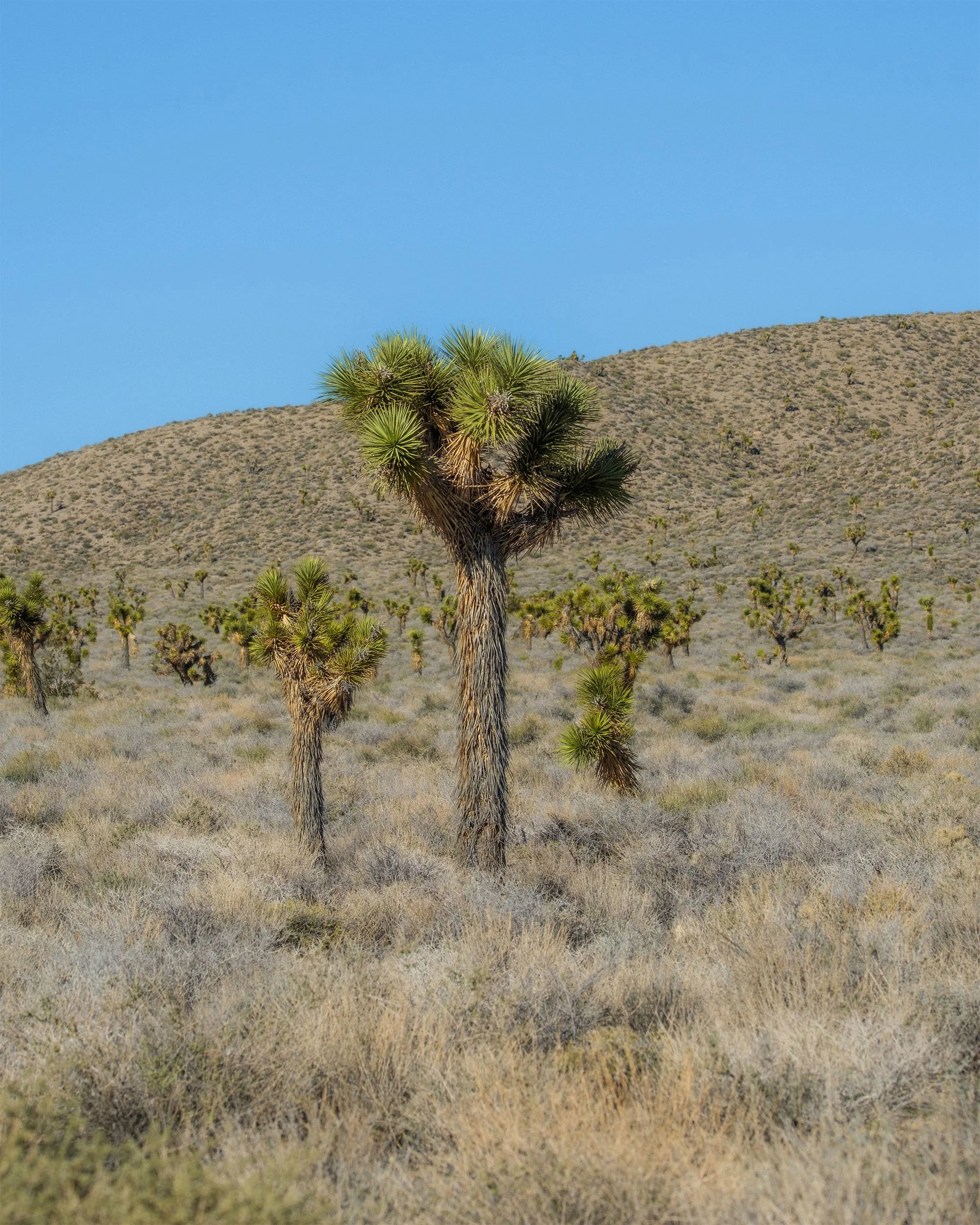 DSCF6378.jpg