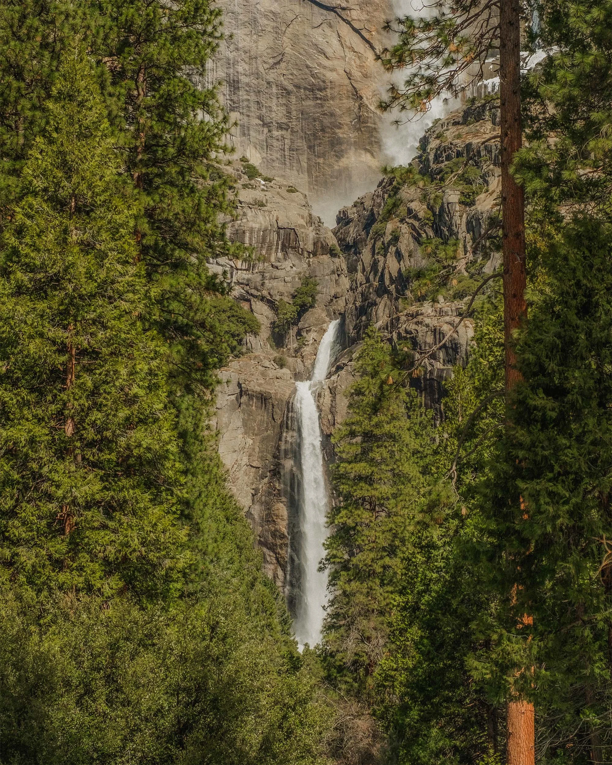 DSCF5131.jpg