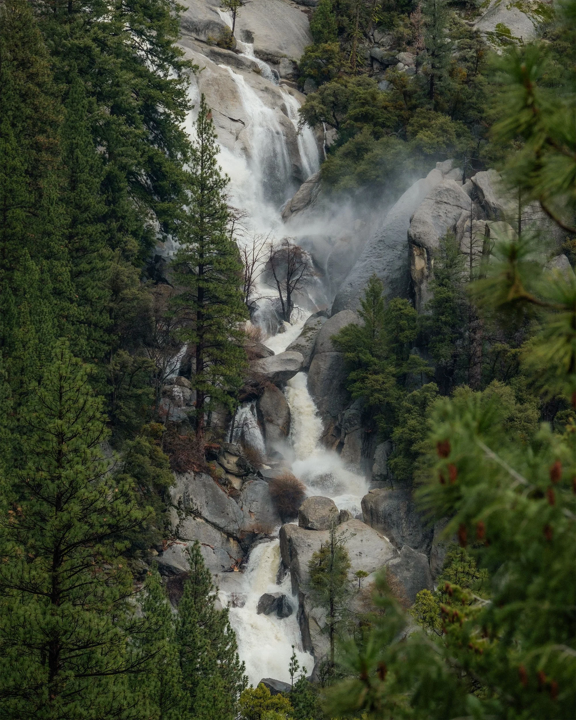 DSCF5629.jpg