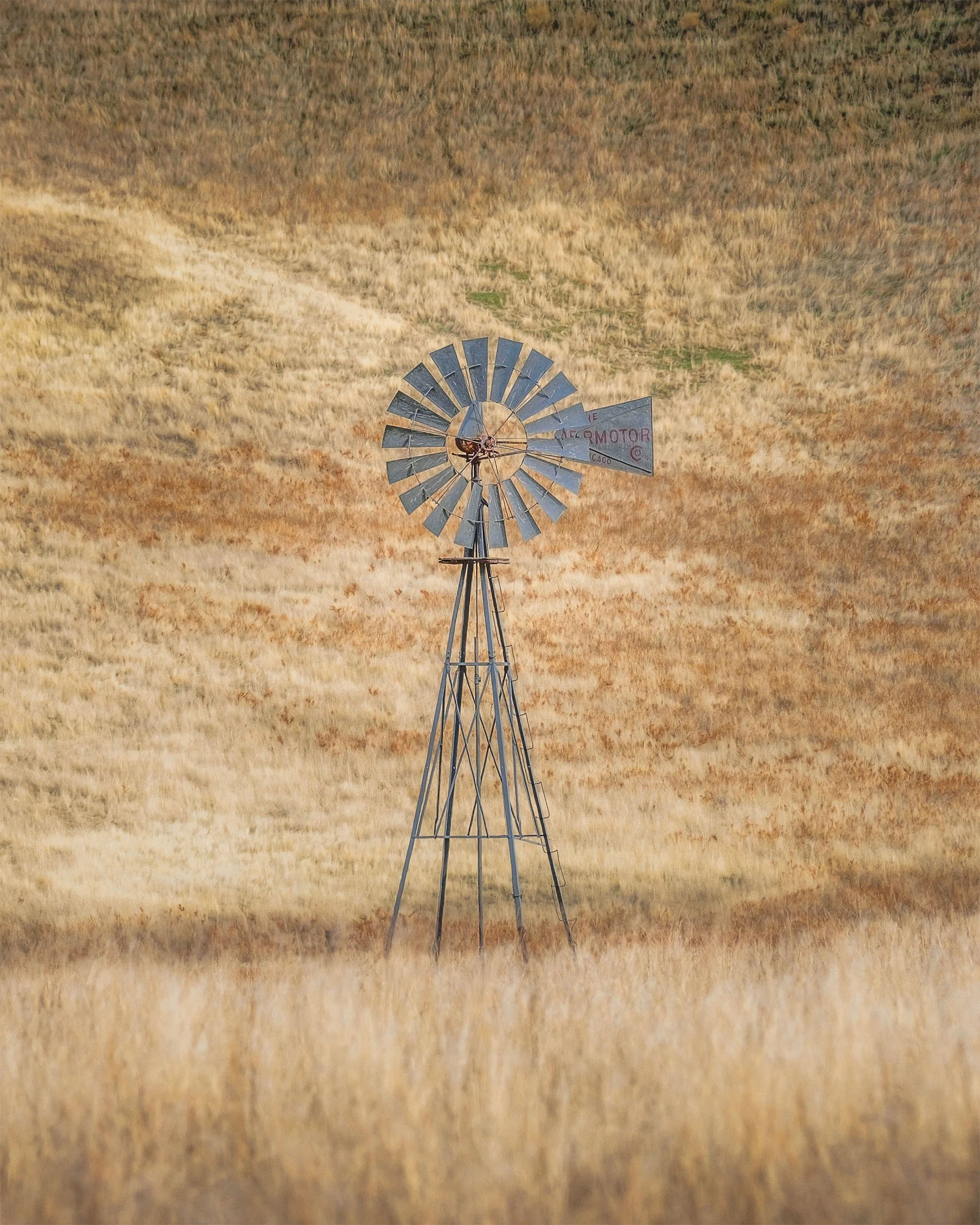 DSCF2508.jpg