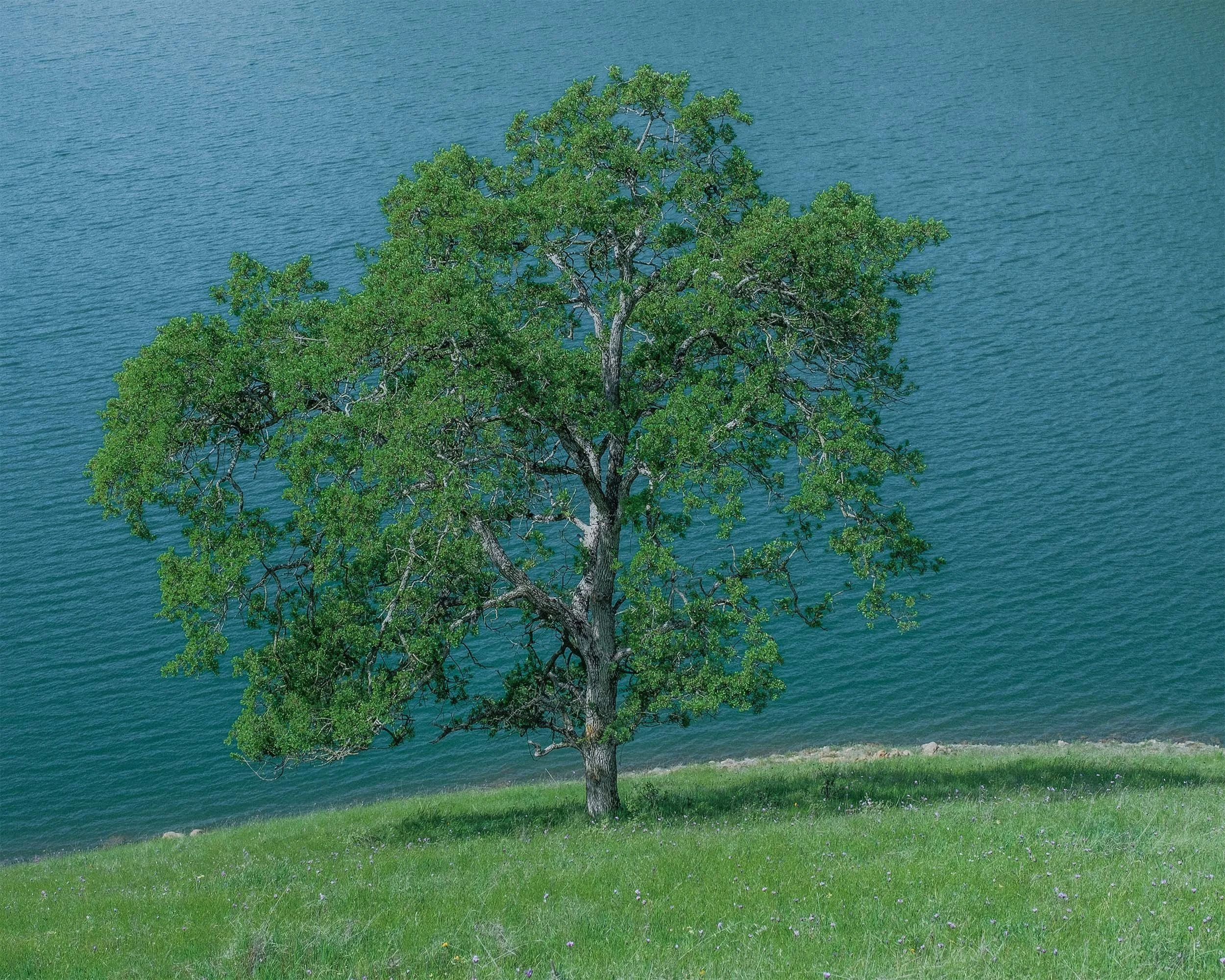 DSCF5738.jpg