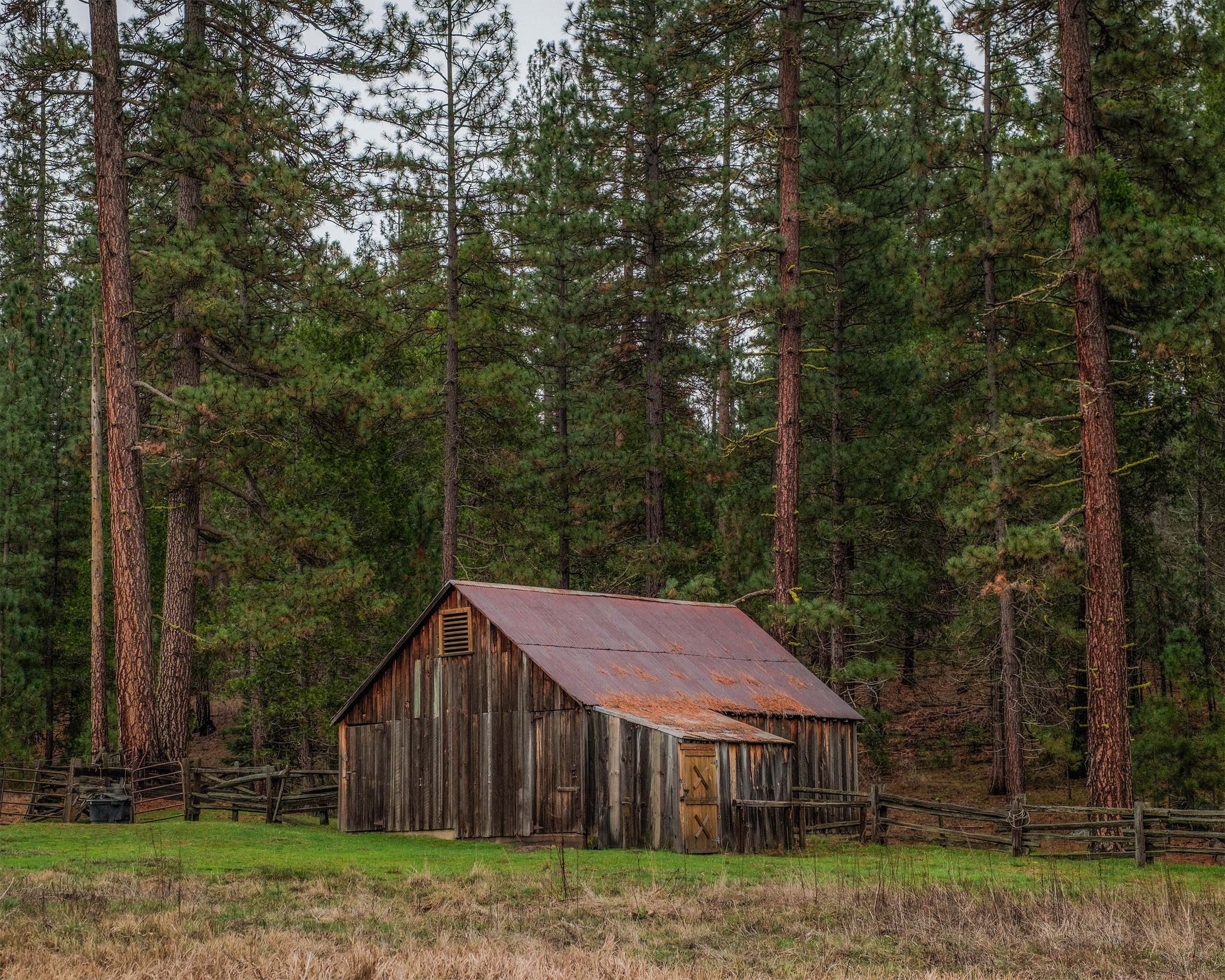 DSCF5490.jpg