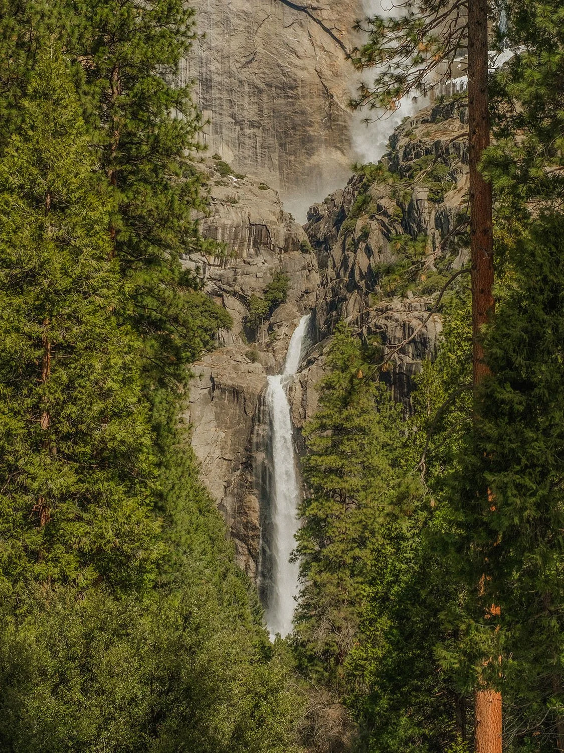 DSCF5131.jpg