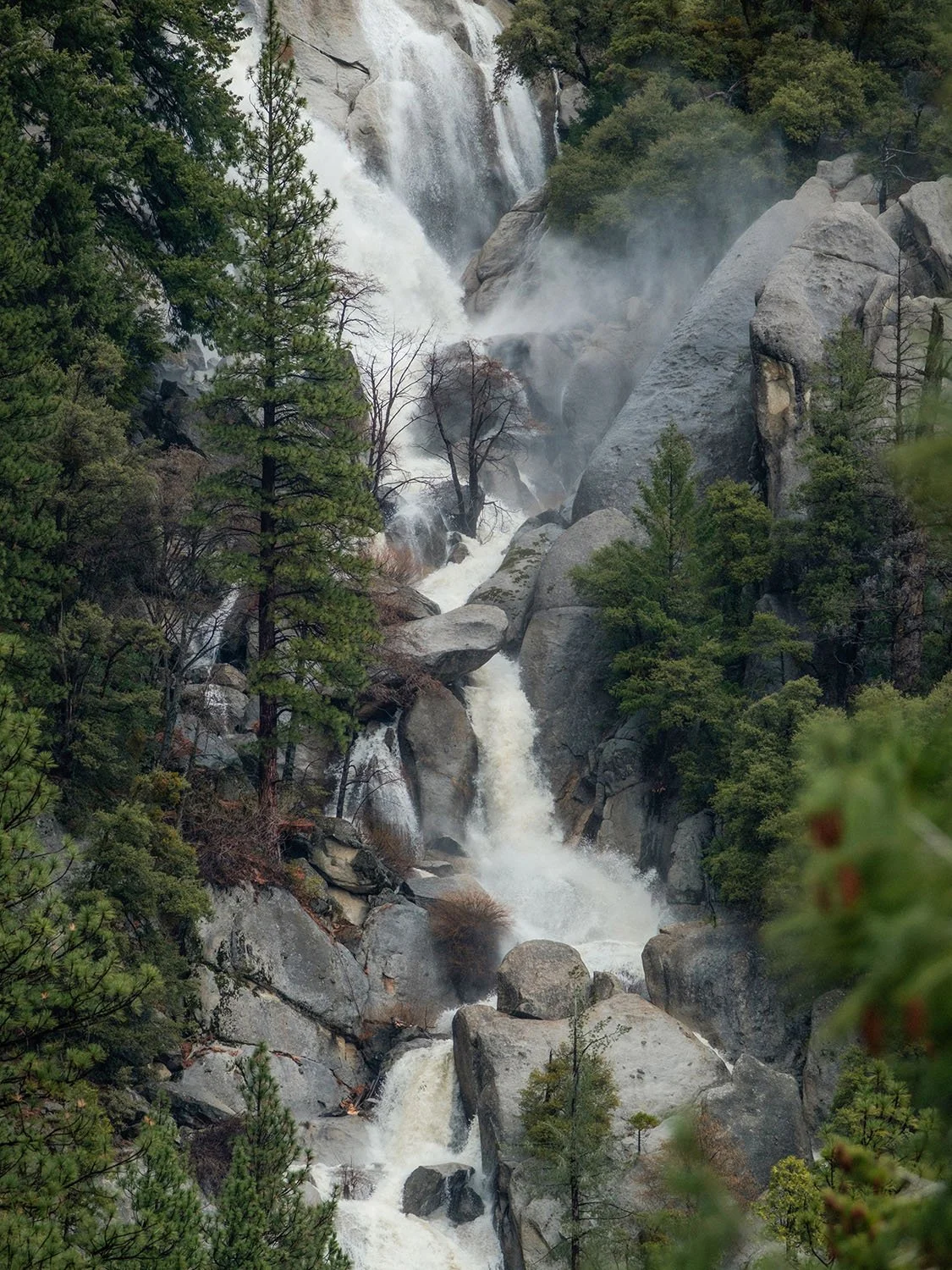 DSCF5630.jpg