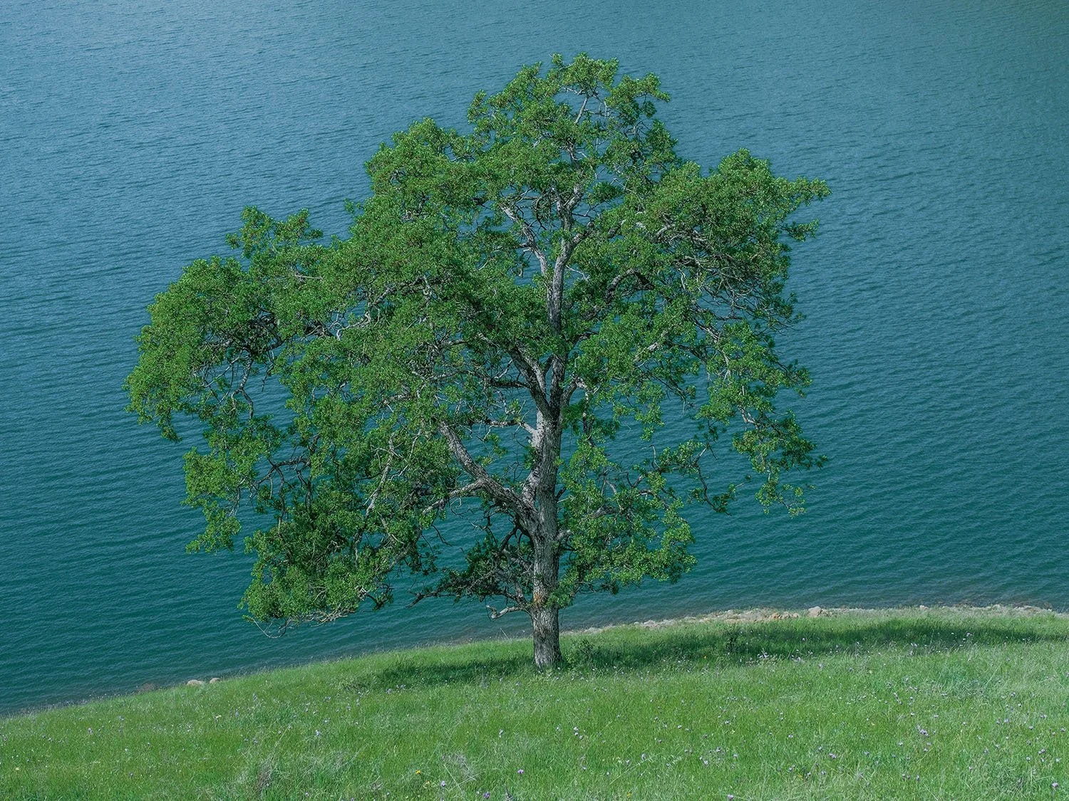 DSCF5738.jpg