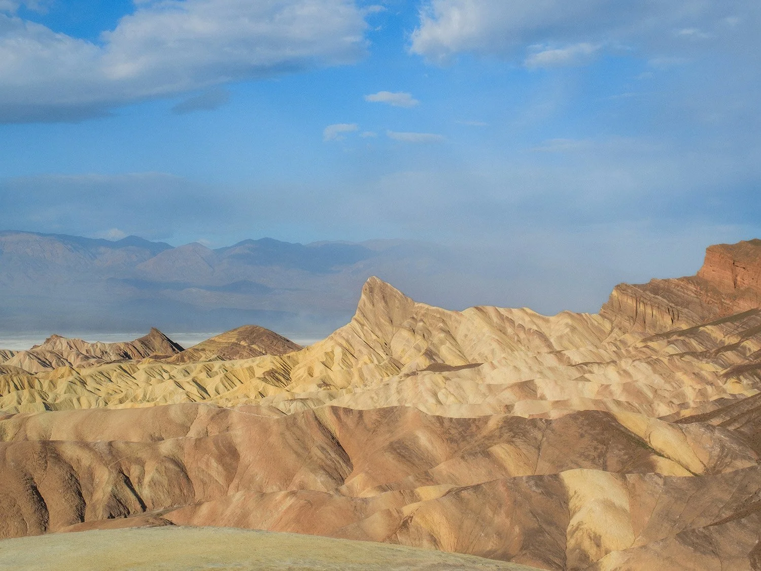 DSCF6399.jpg