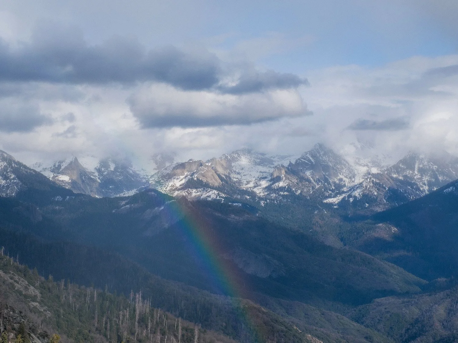 DSCF6709.jpg