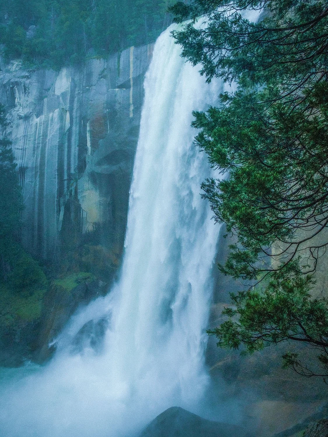 DSCF8353.jpg