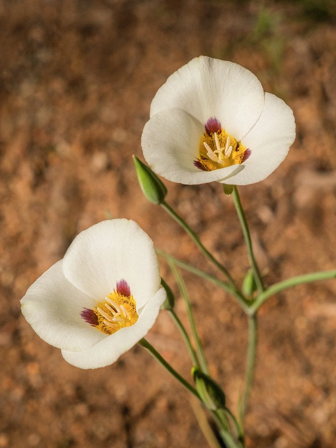 DSCF9076.jpg