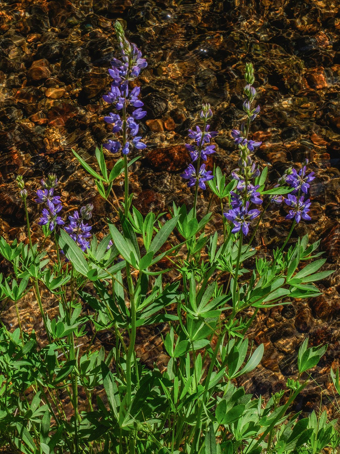 DSCF9449.jpg