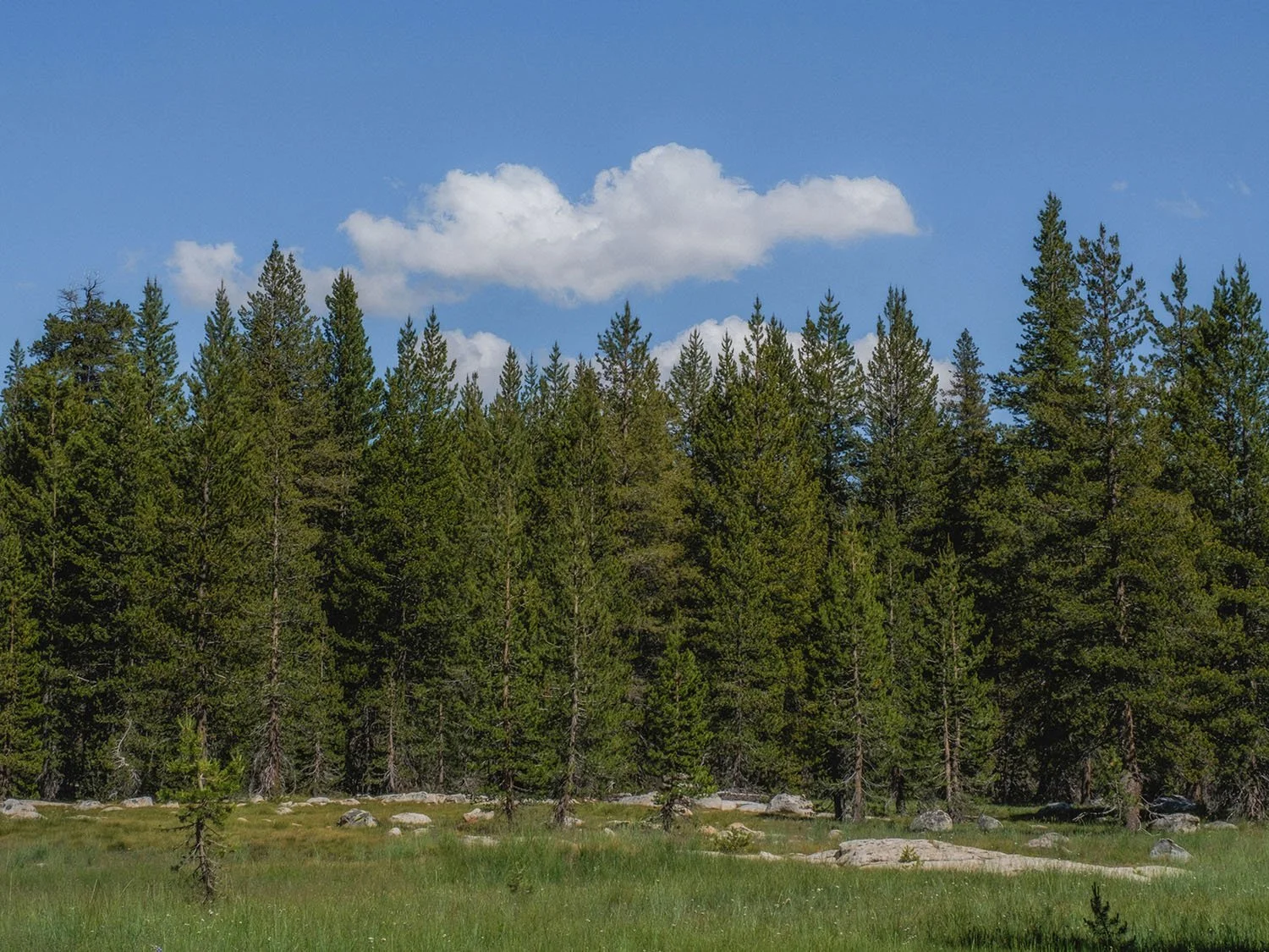 DSCF9451.jpg