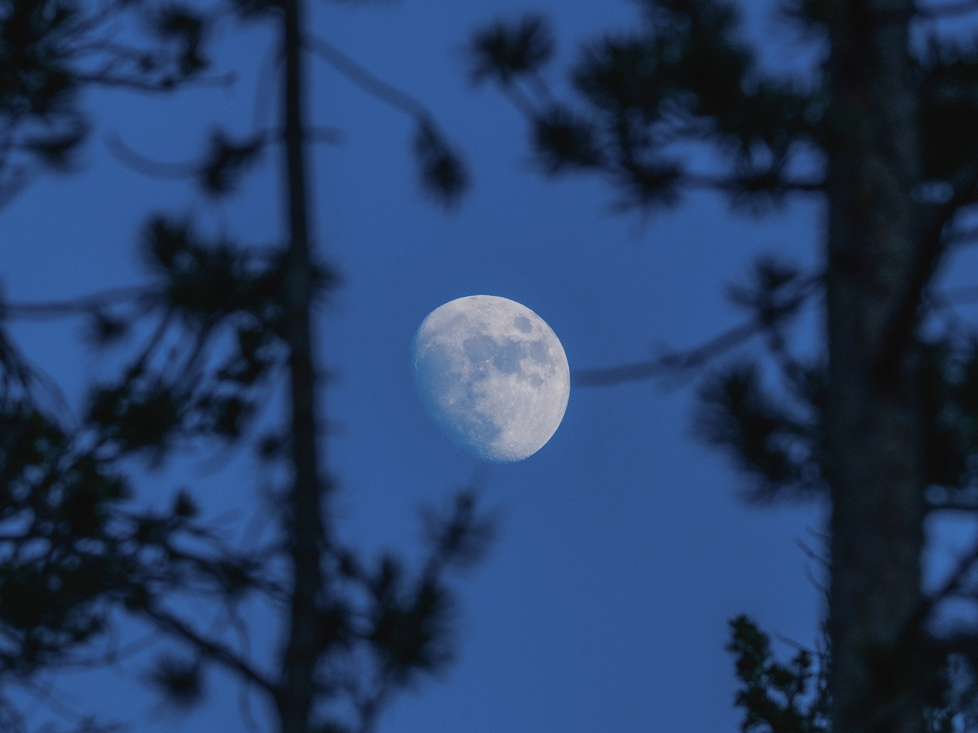 DSCF9466.jpg