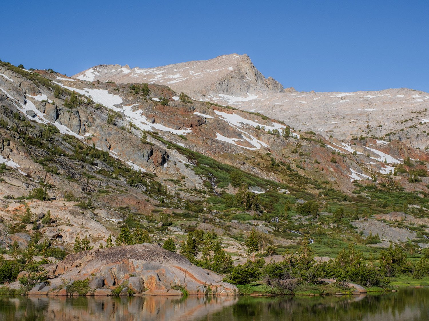 DSCF9372.jpg