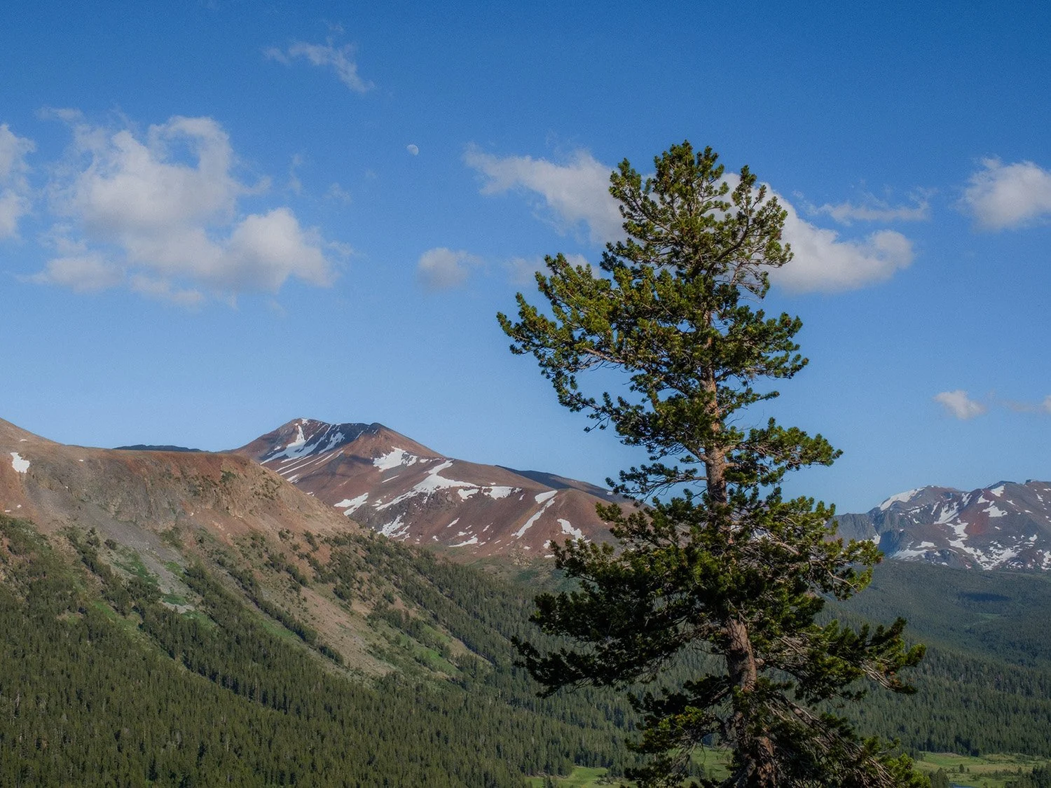 DSCF9106.jpg