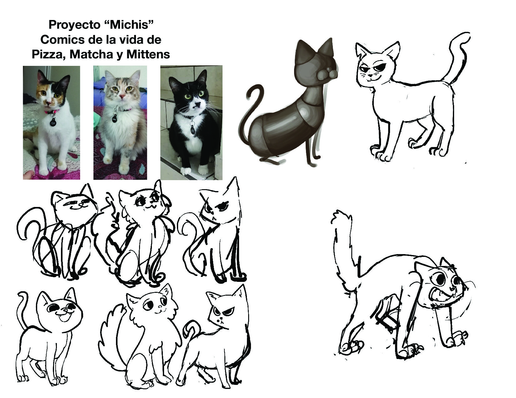 Le clan  Warrior cats, Warrior cats art, Warrior cat drawings