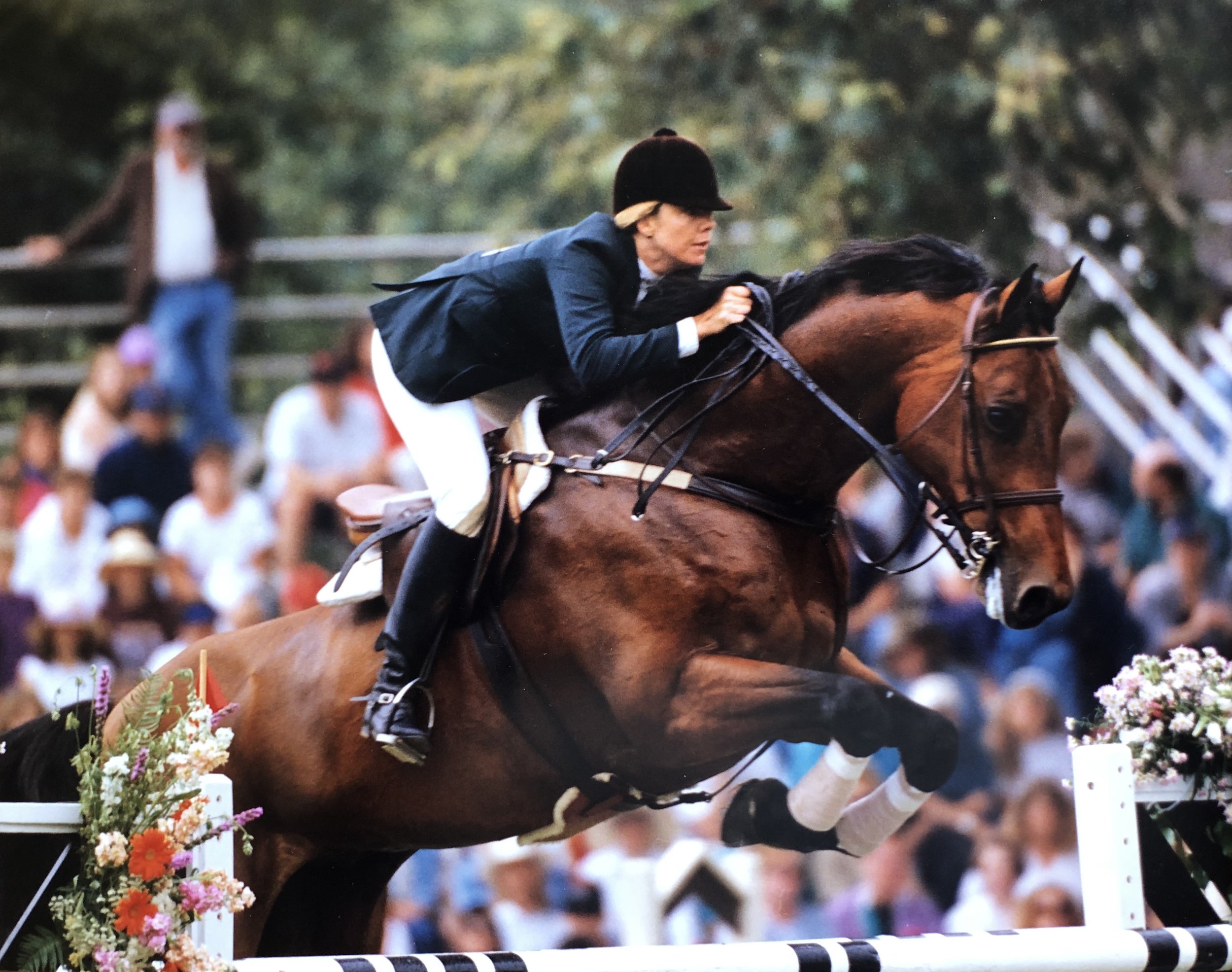 About Us LA Equestrian Center — The Los Angeles Equestrian Center