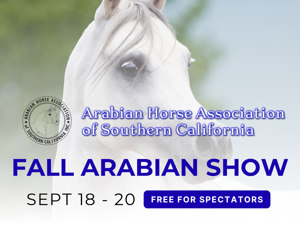 AHASC Fall Arabian Show