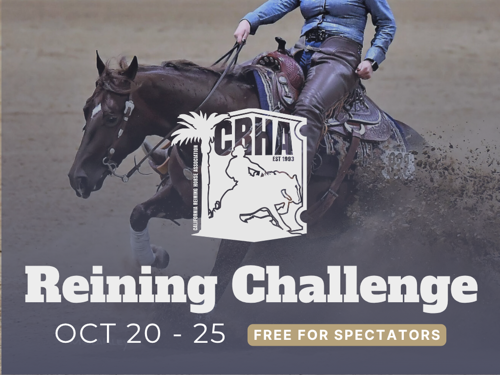 Reining Challenge