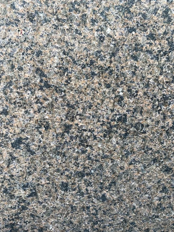 Tropical Brown2.jpg