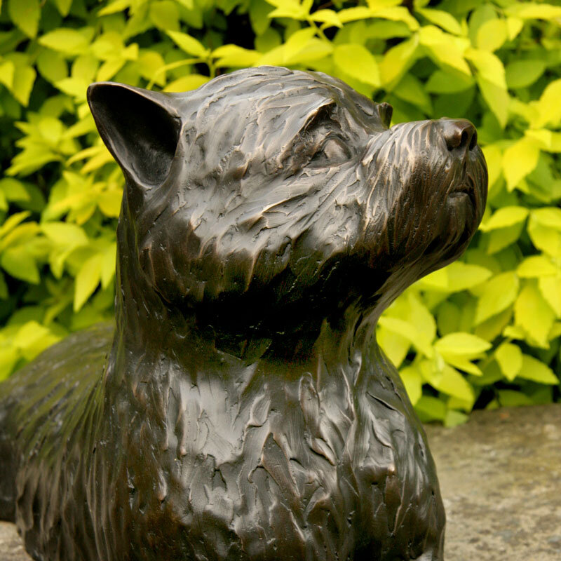 Cairn Terrior (Lilly)