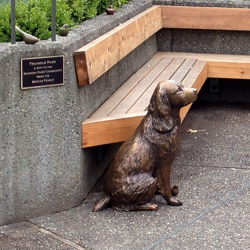 Springer Spaniel (Katie)