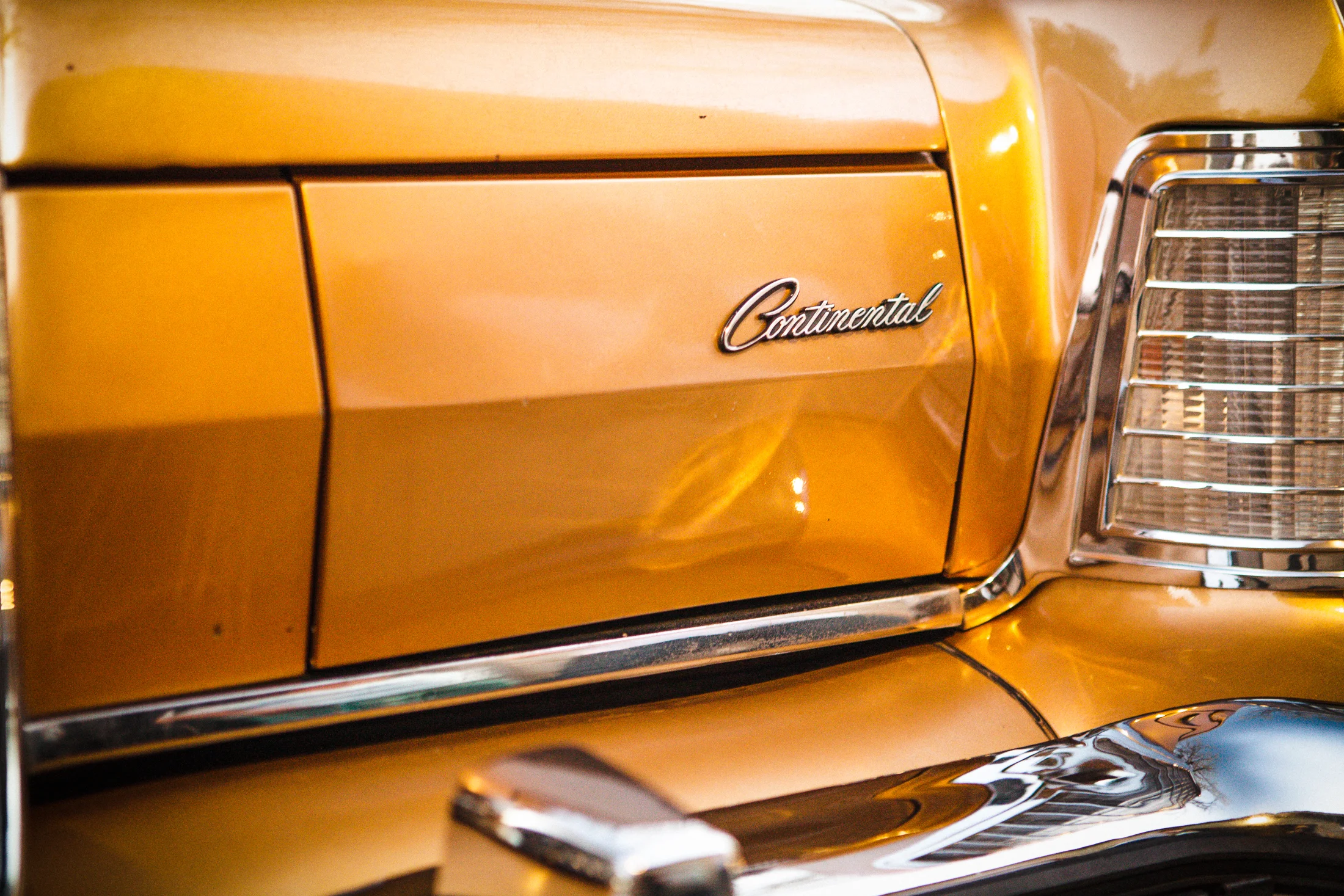 goldie-set-4-19-12.jpg