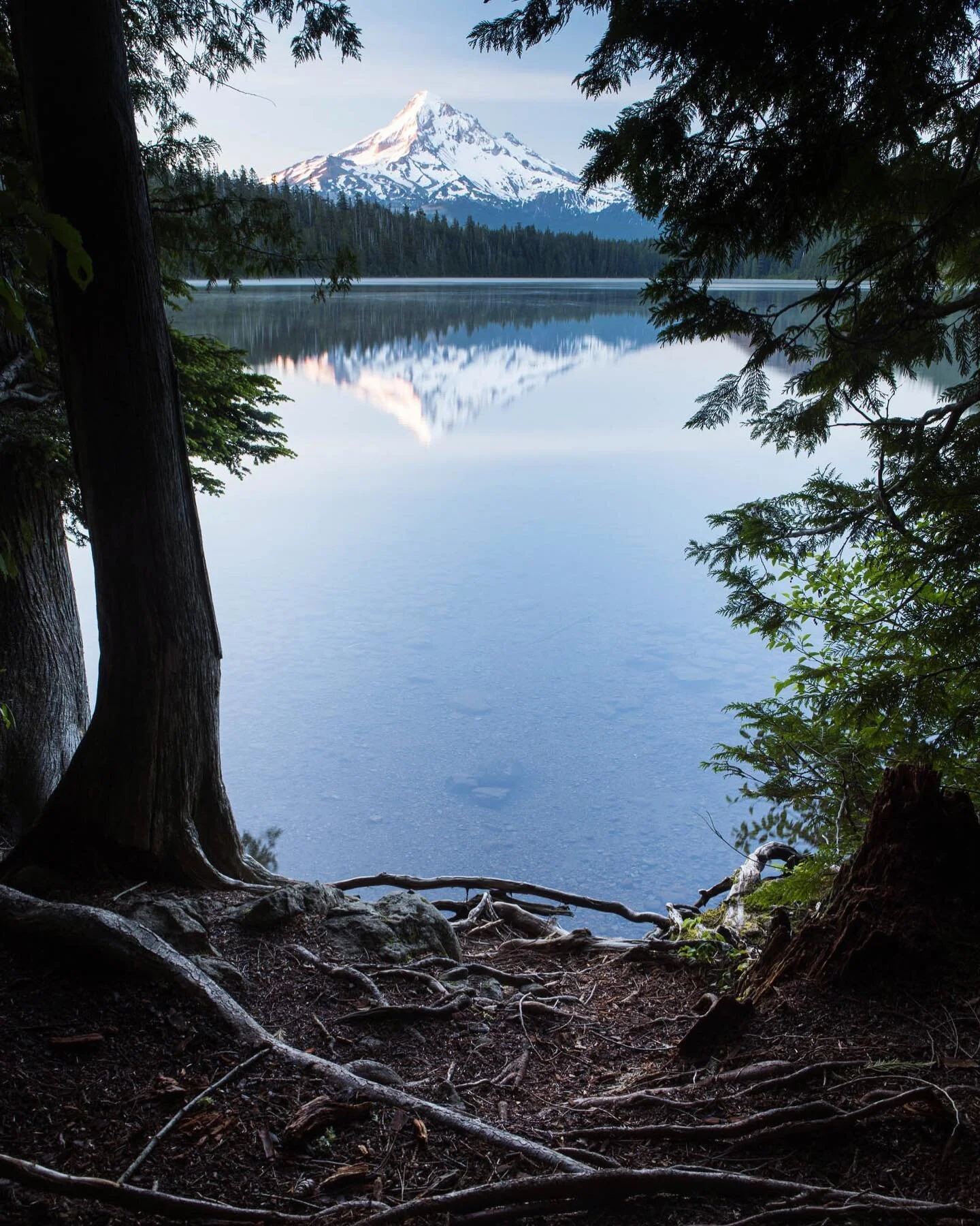 Opened up some old drives this morning and found this gem from a few summers back. My hood at its finest.
&bull;
&bull;
&bull;
&bull;
#mthood #mthoodnationalforest #mountains #pnw #pnwonderland #pnwphotographer #pnwcollective #mthoodterritory #oregon