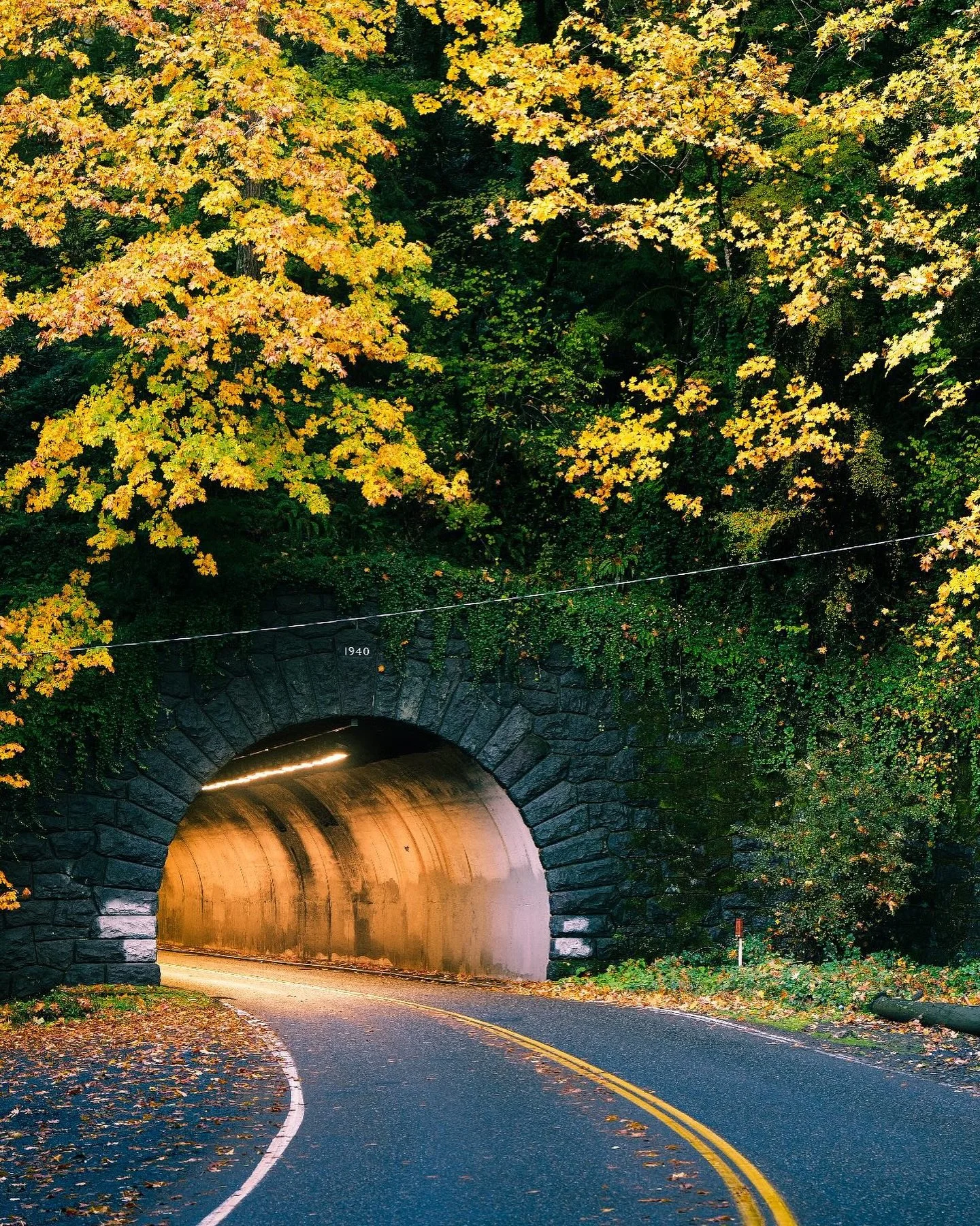 Tunnels and colors
&bull;
&bull;
&bull;
&bull;
#portland #portlandoregon #portlandleaves #portlandtunnels #tunnels #autumn #leaveschanging #yellowleaves #westcoast #bestcoast #pnw #seasons #pnwautumn