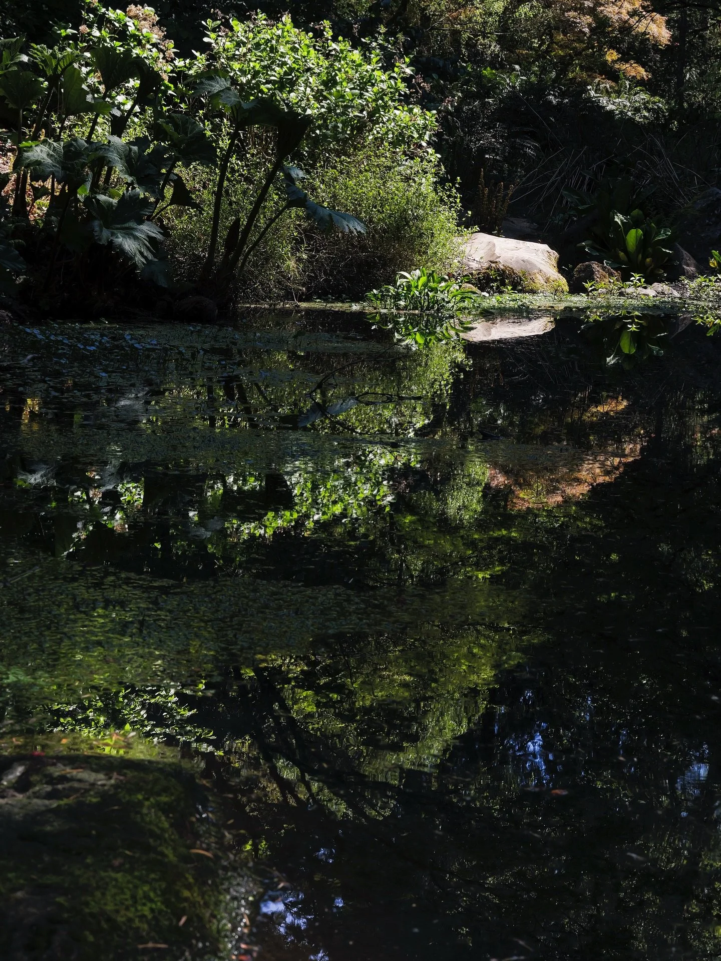 Love a good reflection.