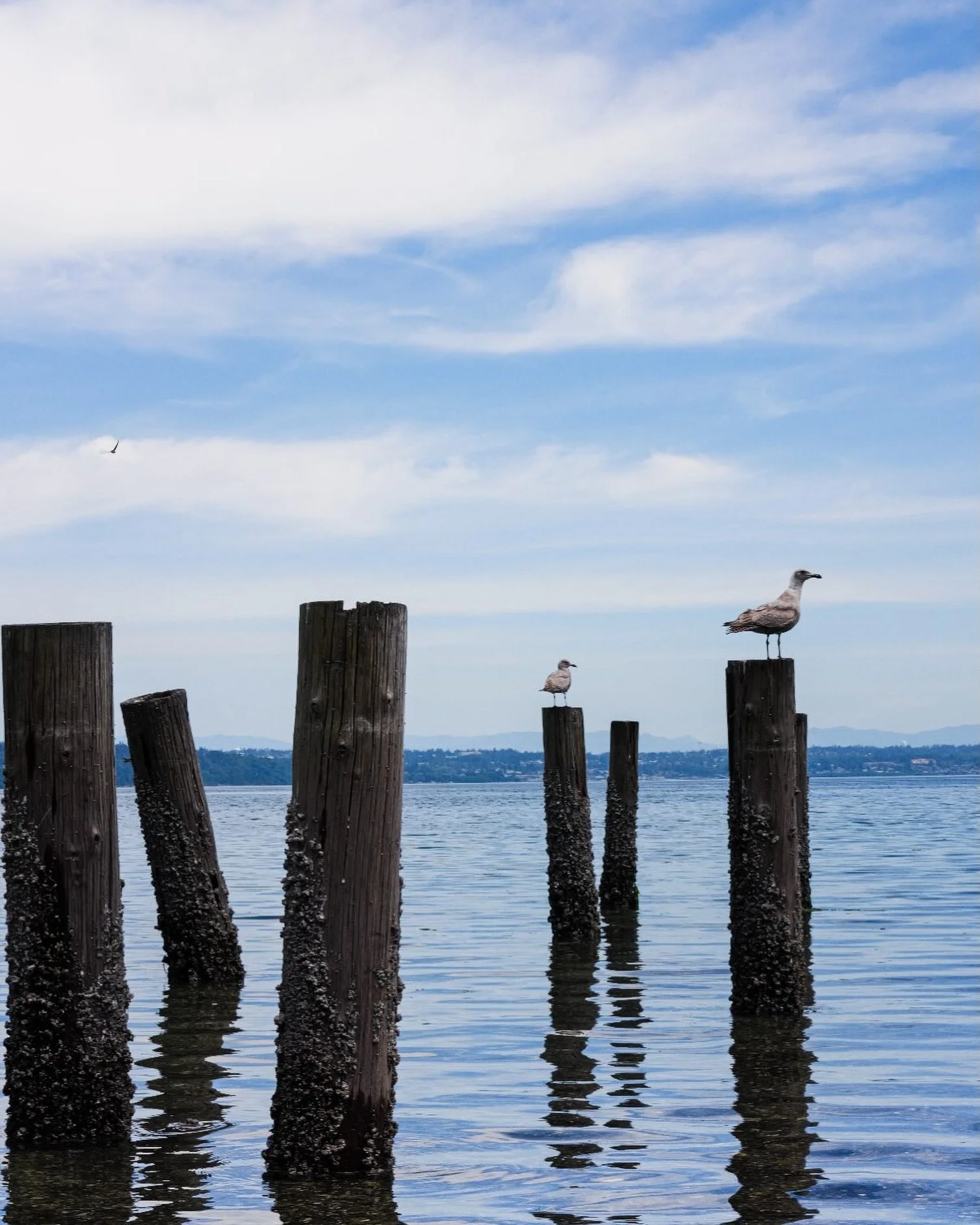 Sundays are for exploring
&bull;
&bull;
&bull;
&bull;
#explorewashington #vashonisland #pacificnorthwest #gettinglost #pnw