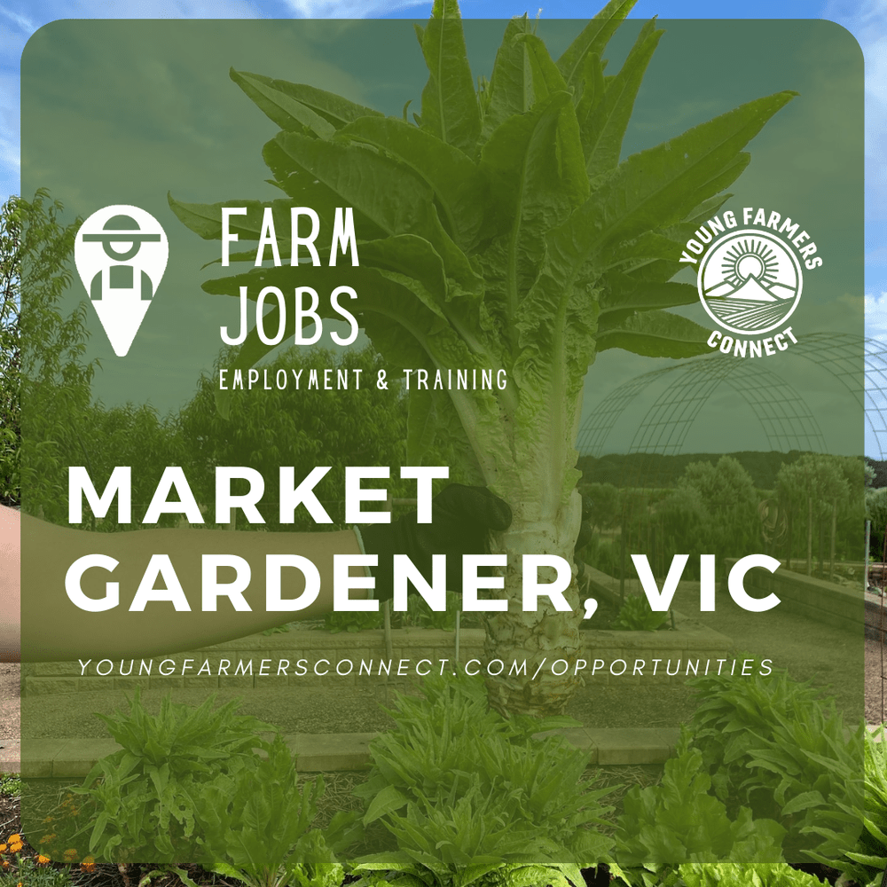 Market Gardener Mornington Peninsula VIC — YOUNG FARMERS CONNECT