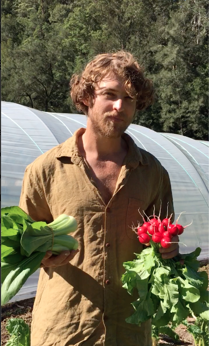 Tom Macindoe - The Mandarin Bend