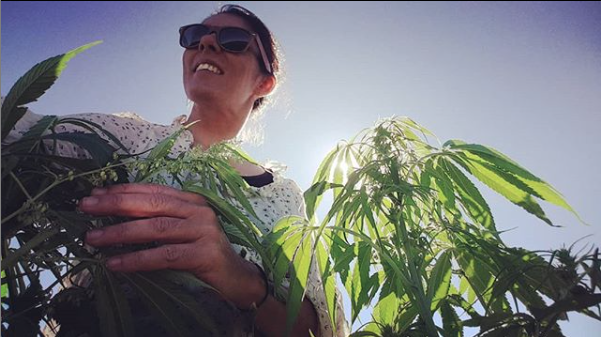 Maxine and Mike Shea - Hemp Collective