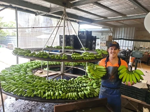 Duane Pierce - Glengarrie Northern NSW