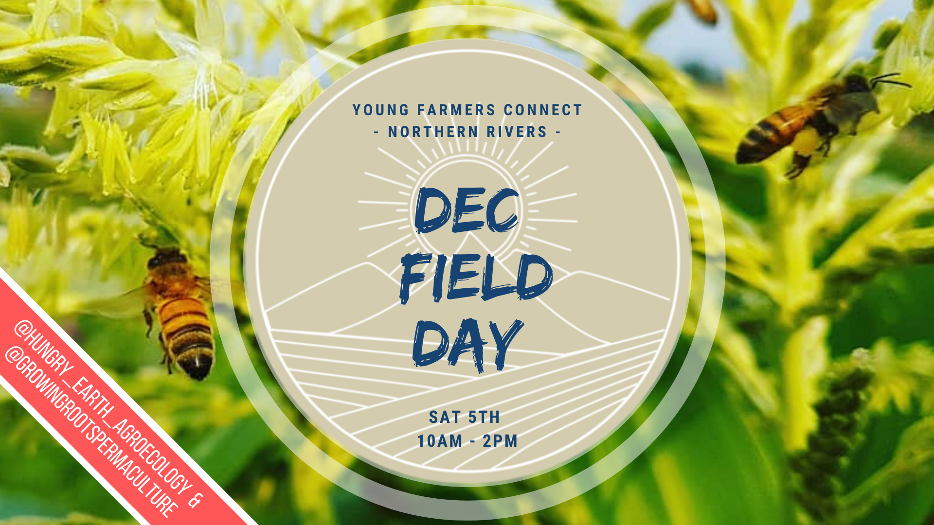young farmers connect - northern rivers - hungry earth agroecology