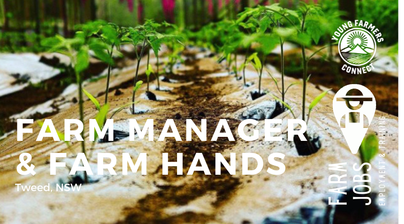 Farm Manager and Farm Hand — YOUNG FARMERS CONNECT
