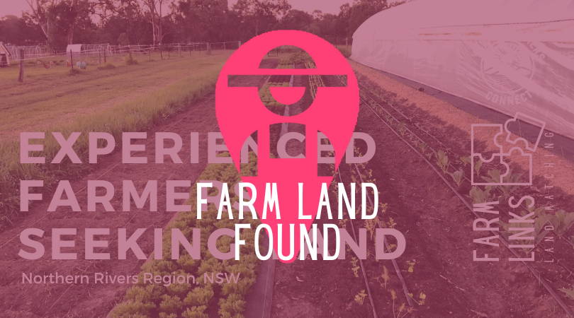 Experienced market gardeners looking for land in the Northern Rivers